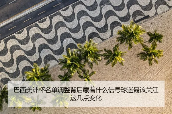巴西美洲杯名单调整背后藏着什么信号球迷最该关注这几点变化